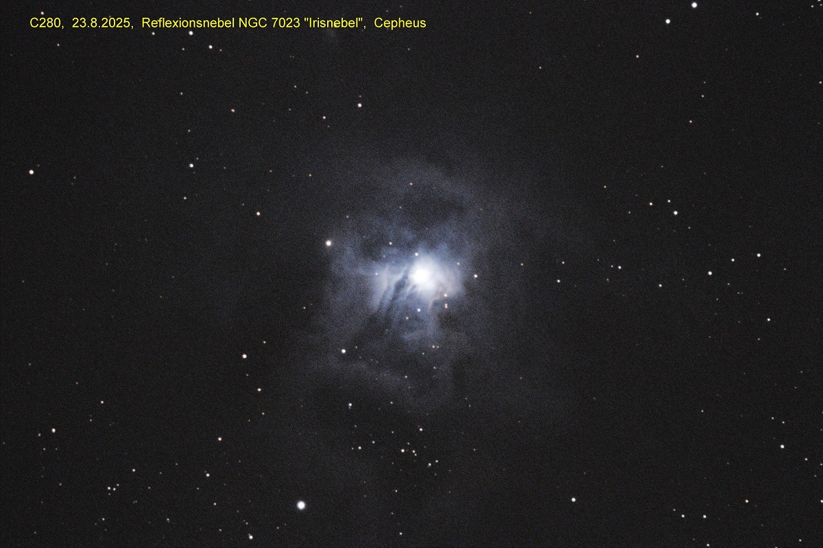 23.08.2025, NGC7023 ("Irisnebel", Cepheus): Aufnahme und Bearbeitung: Wolfgang Richter
