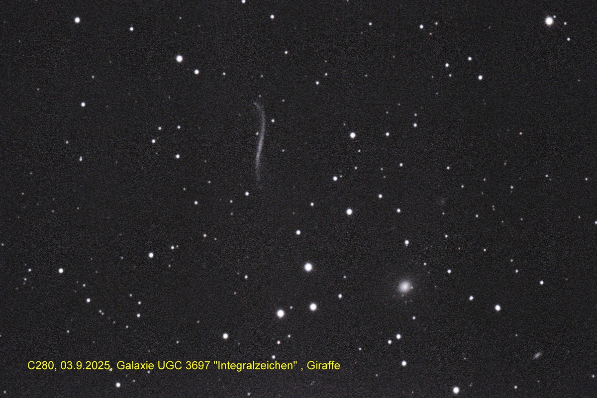 03.09.2025, UGC 3697 ("Integralzeichen", Giraffe): Aufnahme und Bearbeitung: Wolfgang Richter