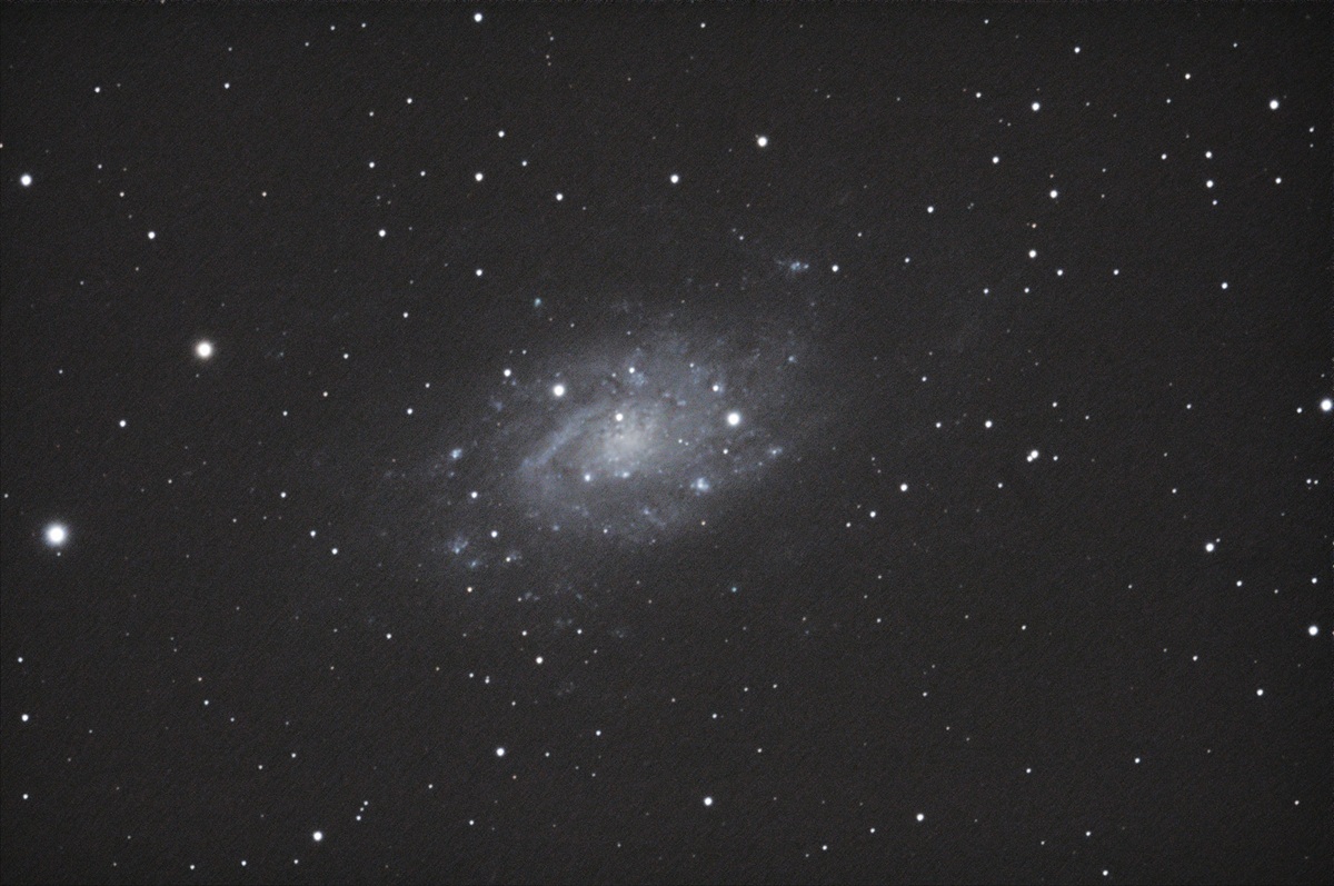 19.03.2026, NGC2403 (Sternbild Giraffe) Aufnahme und Bearbeitung: Wolfgang Richter