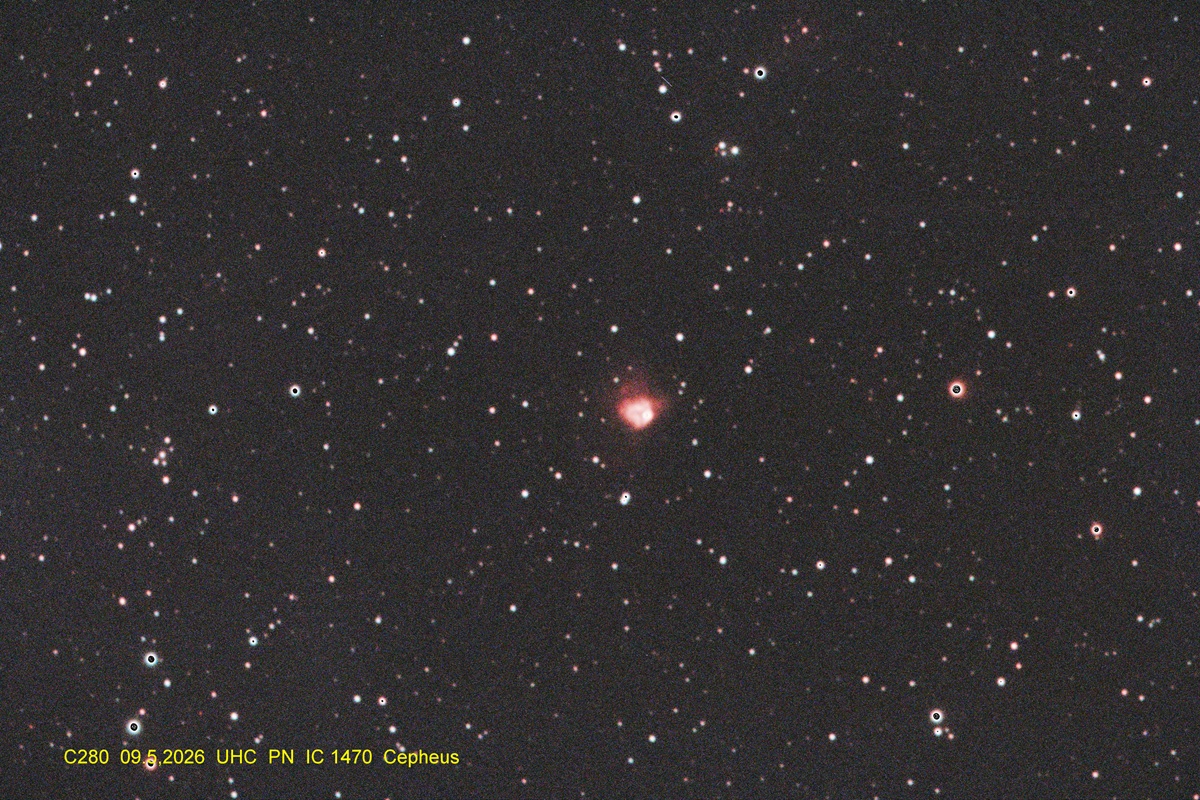 09.05.2026, IC1470 (Cepheus) Aufnahme und Bearbeitung: Wolfgang Ritscher
